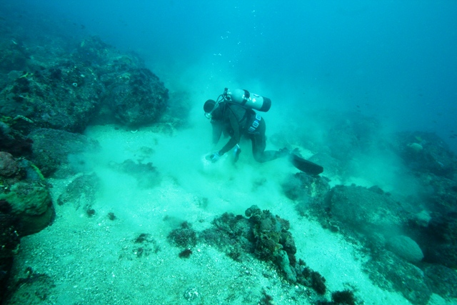 潜水士による直接採泥　～岩礁域～