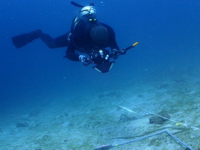 潜水士が、海藻類を撮影中