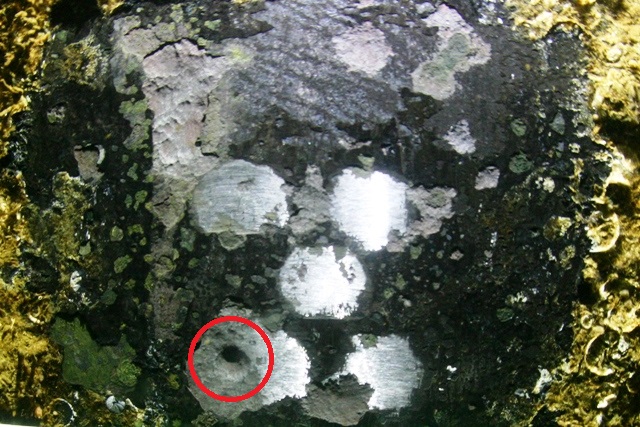 鋼材 局部腐食（孔食）の様子。赤丸の箇所に著しい孔食が見られる。