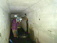 河川構造物調査